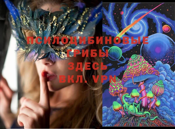 2c-b Алзамай