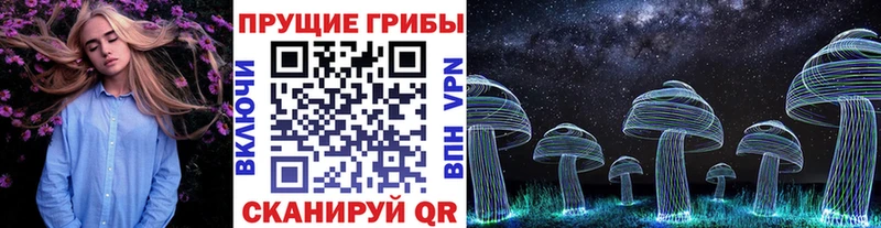 хочу   мега ТОР  Галлюциногенные грибы Psilocybine cubensis  Новоалександровск 